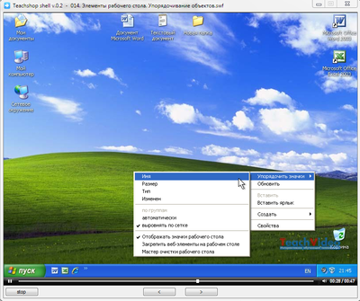 Основы работы на ПК. Windows XP Edition. Обучающий видеокурс.